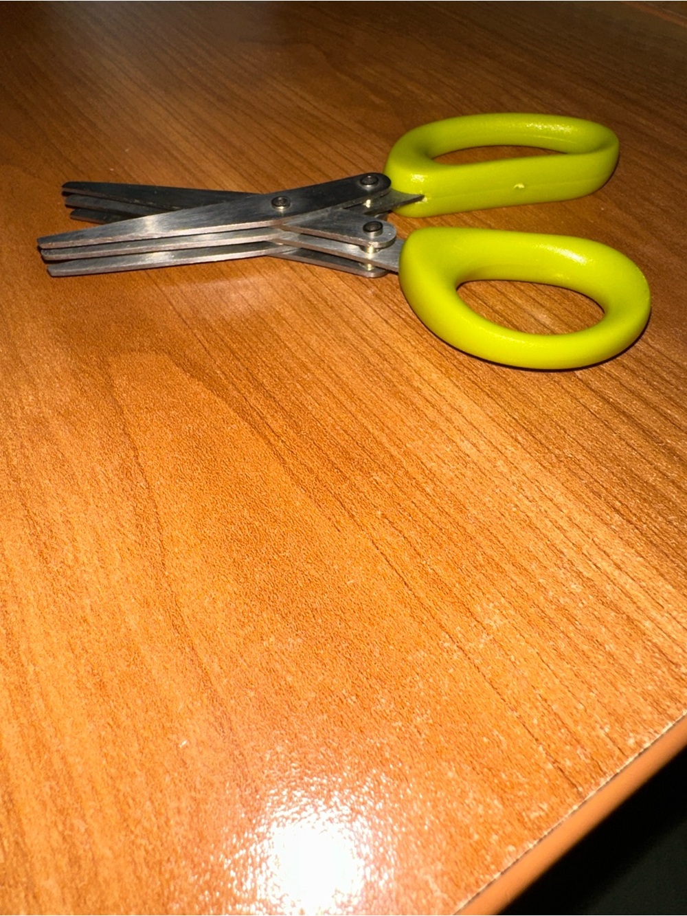 Tisli 3-Blade Stainless Steel Herb / Craft Scissors (Green Handles, 5 Inches)